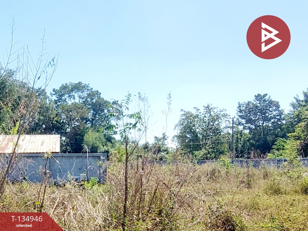 ขายที่ดิน เนื้อที่ 3 ไร่ โนนสูง อุดรธานี 7