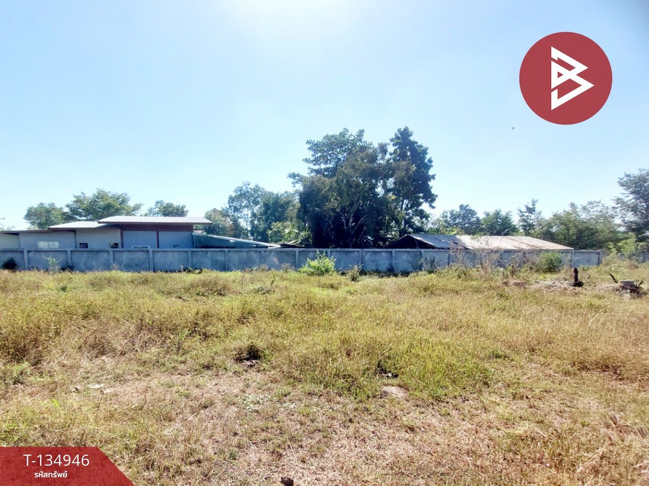 ขายที่ดิน เนื้อที่ 3 ไร่ โนนสูง อุดรธานี 9