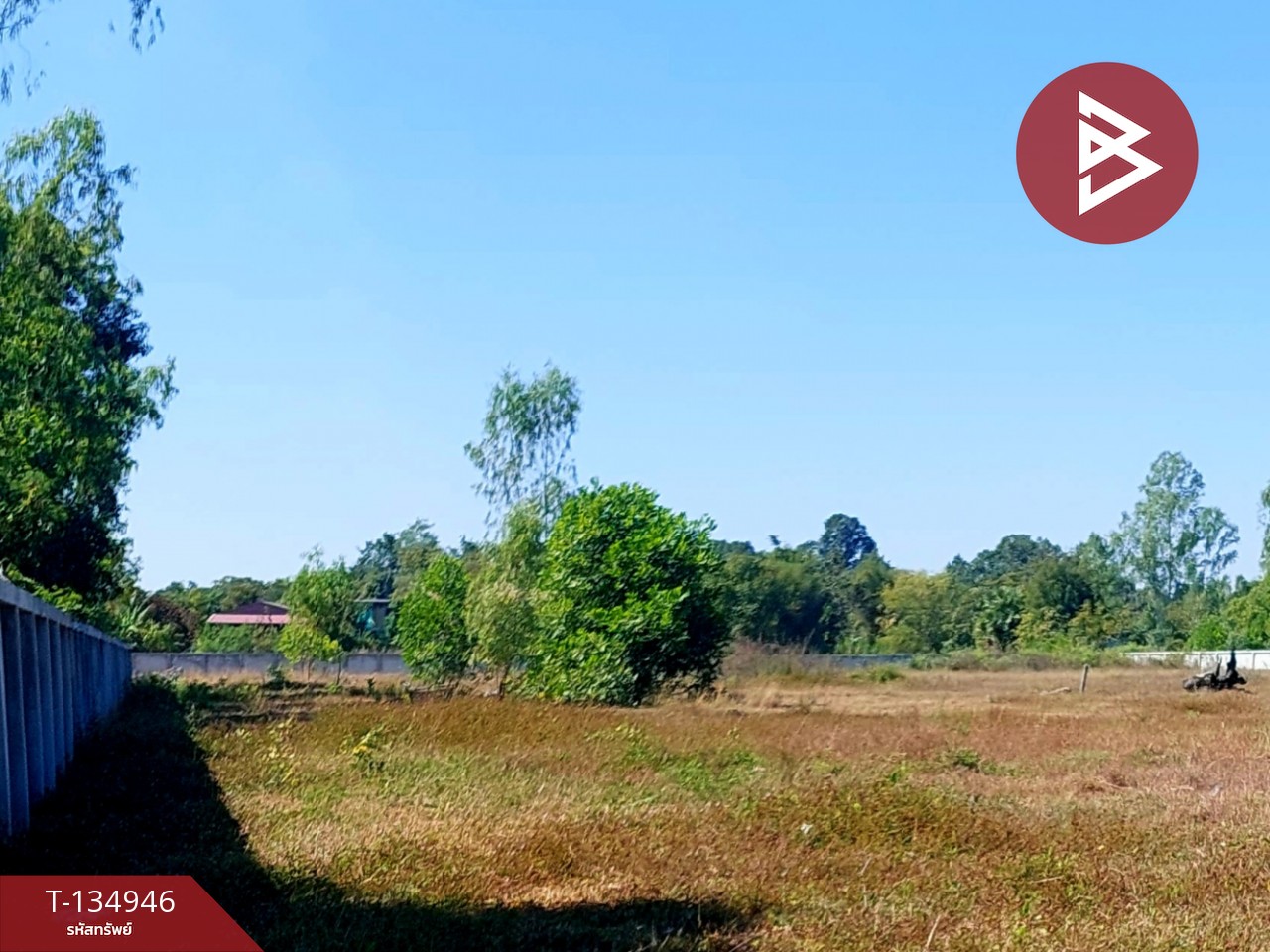 ขายที่ดิน เนื้อที่ 3 ไร่ โนนสูง อุดรธานี 10