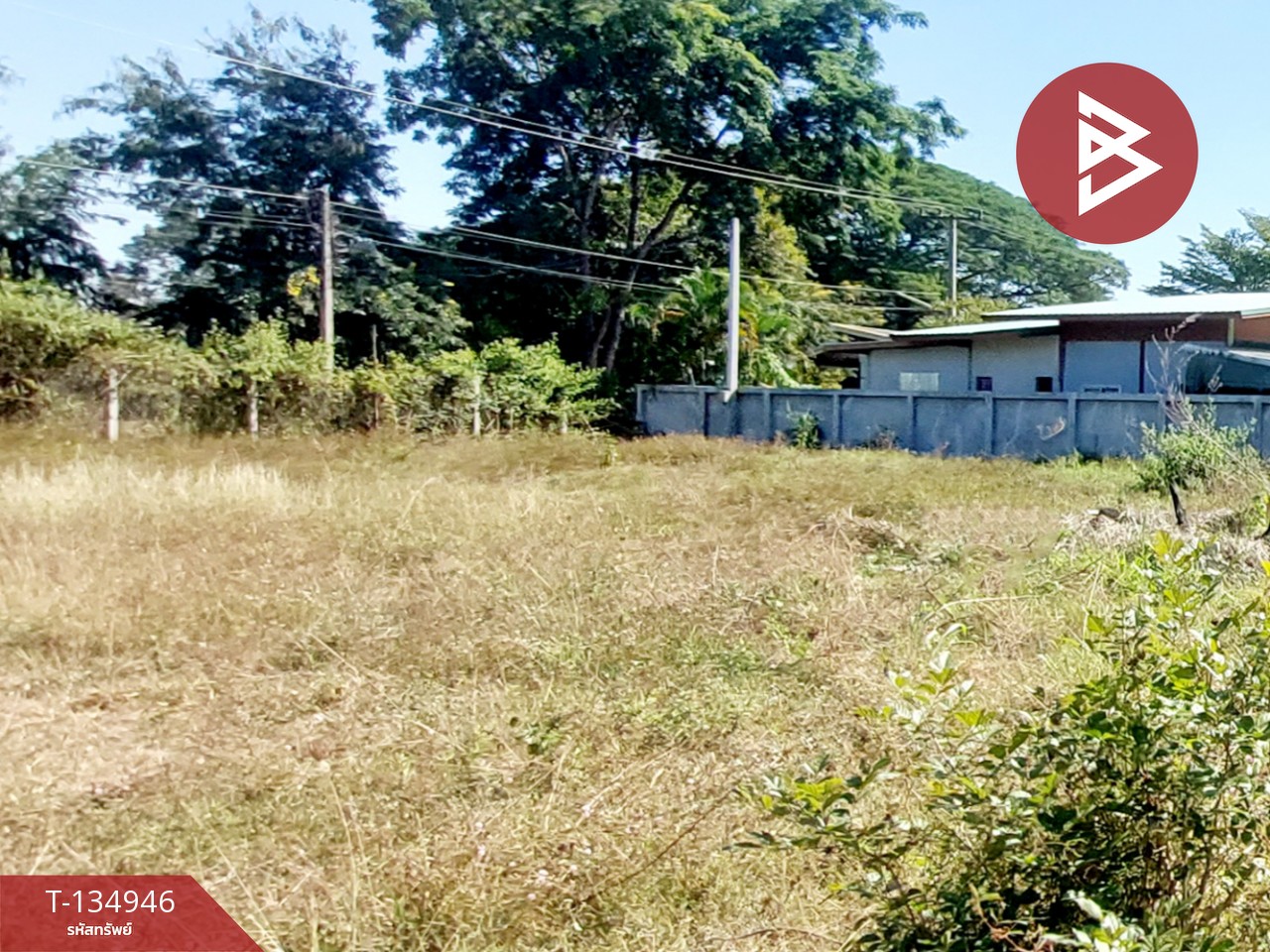 ขายที่ดิน เนื้อที่ 3 ไร่ โนนสูง อุดรธานี 5