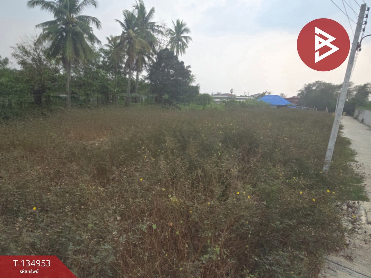 ขายที่ดิน เนื้อที่ 1 งาน 37 ตารางวา บ่อพลับ นครปฐม 8