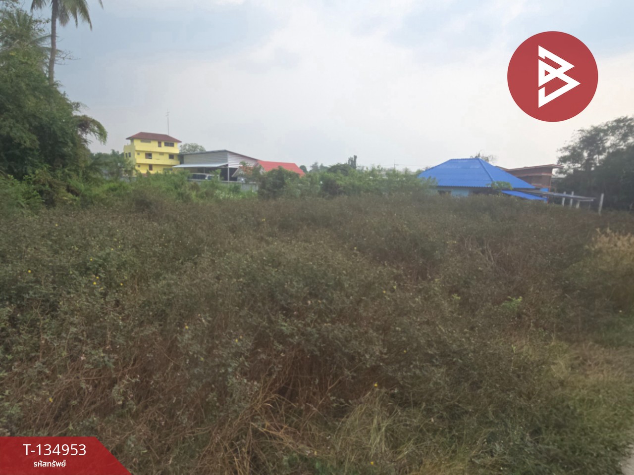 ขายที่ดิน เนื้อที่ 1 งาน 37 ตารางวา บ่อพลับ นครปฐม 9