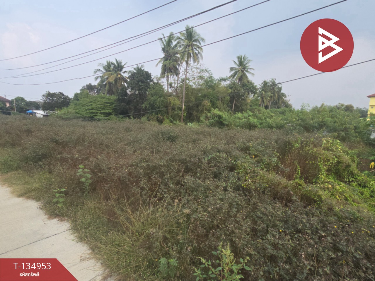 ขายที่ดิน เนื้อที่ 1 งาน 37 ตารางวา บ่อพลับ นครปฐม 10