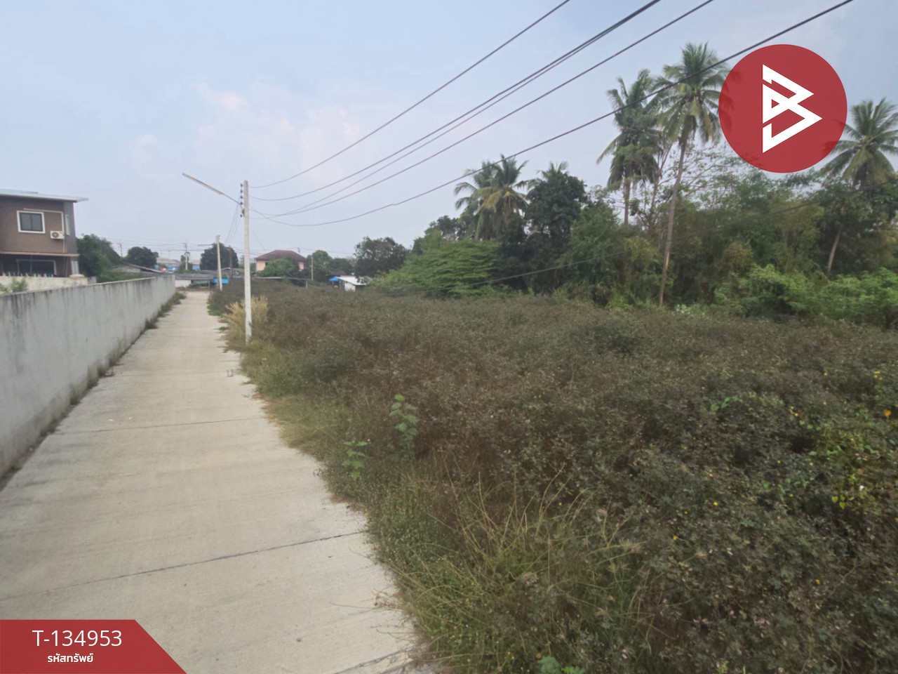 ขายที่ดิน เนื้อที่ 1 งาน 37 ตารางวา บ่อพลับ นครปฐม 11