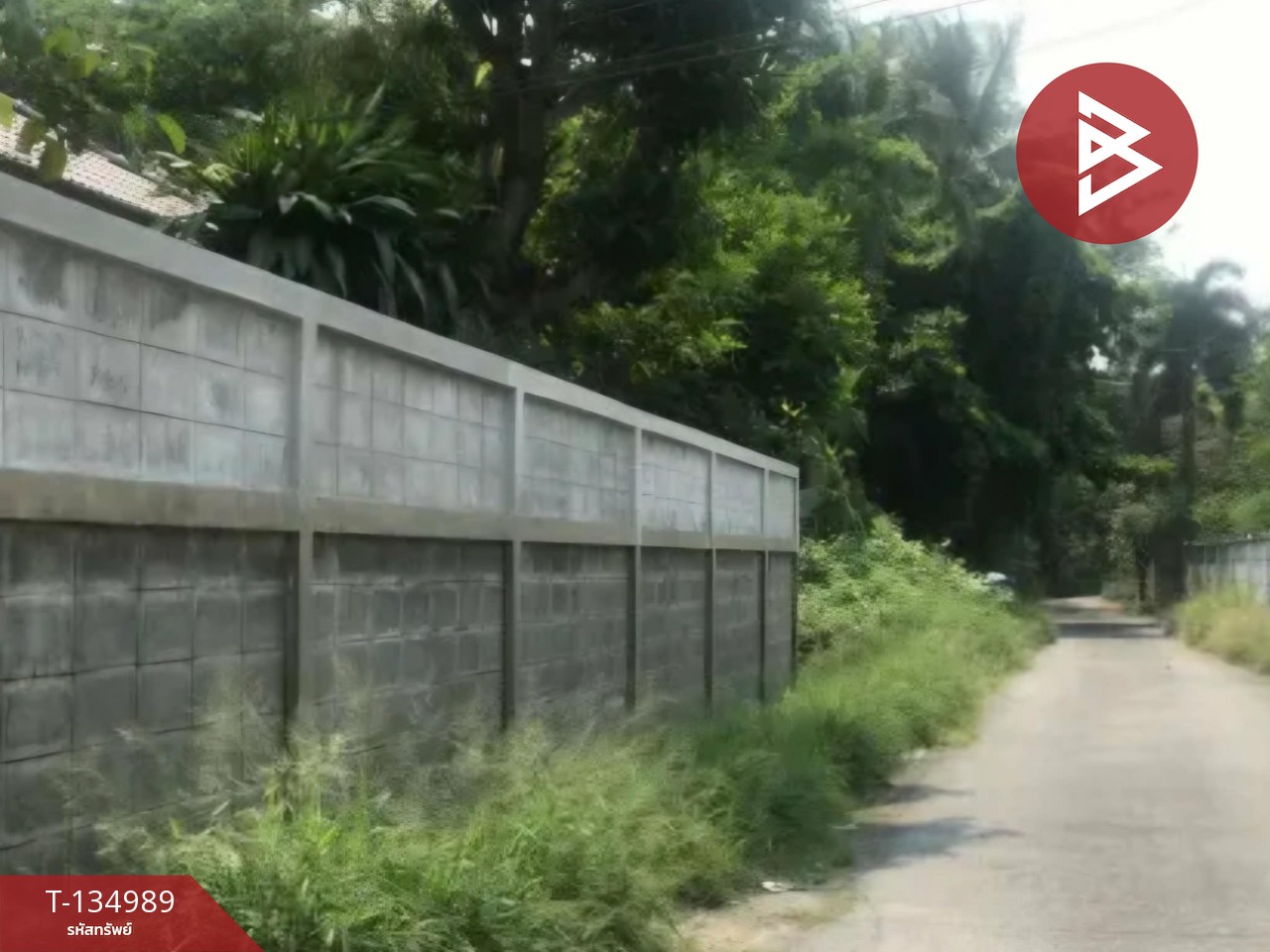 ขายที่ดิน เนื้อที่ 1 ไร่ 2 งาน 41 ตารางวา สามพราน ซอย 5 นครปฐม 5