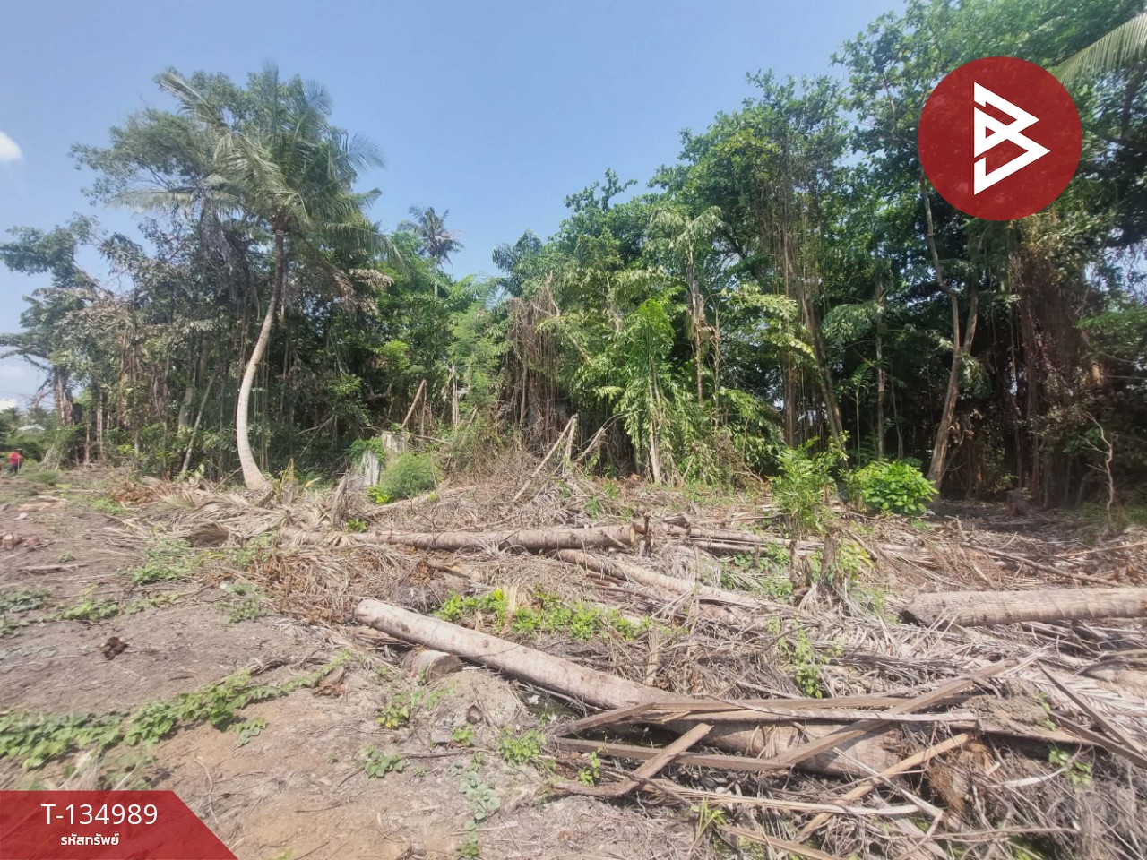 ขายที่ดิน เนื้อที่ 1 ไร่ 2 งาน 41 ตารางวา สามพราน ซอย 5 นครปฐม 14