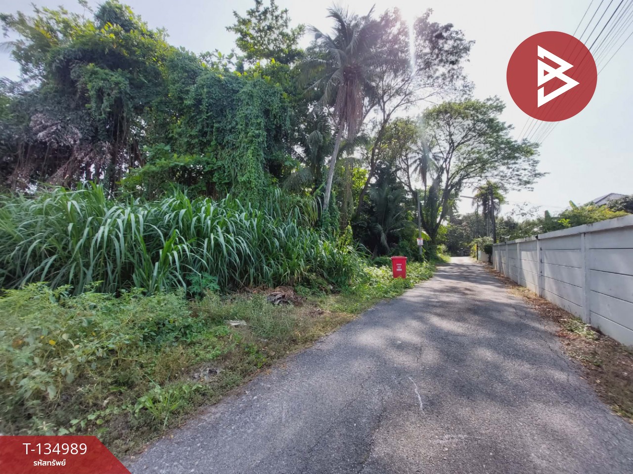 ขายที่ดิน เนื้อที่ 1 ไร่ 2 งาน 41 ตารางวา สามพราน ซอย 5 นครปฐม 3