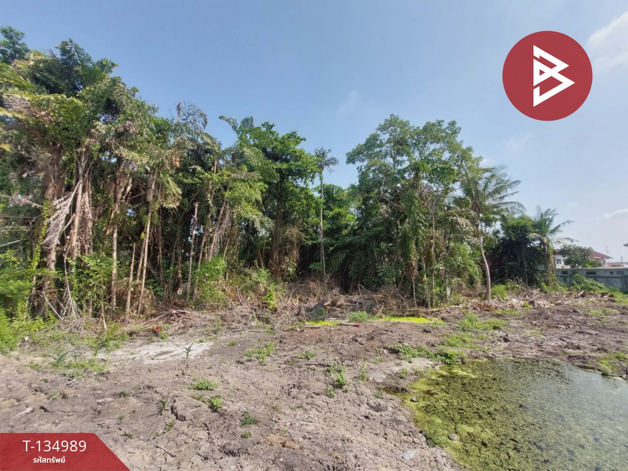 ขายที่ดิน เนื้อที่ 1 ไร่ 2 งาน 41 ตารางวา สามพราน ซอย 5 นครปฐม 13