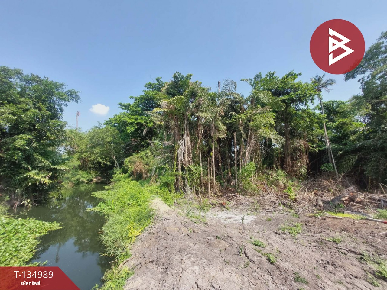 ขายที่ดิน เนื้อที่ 1 ไร่ 2 งาน 41 ตารางวา สามพราน ซอย 5 นครปฐม 12