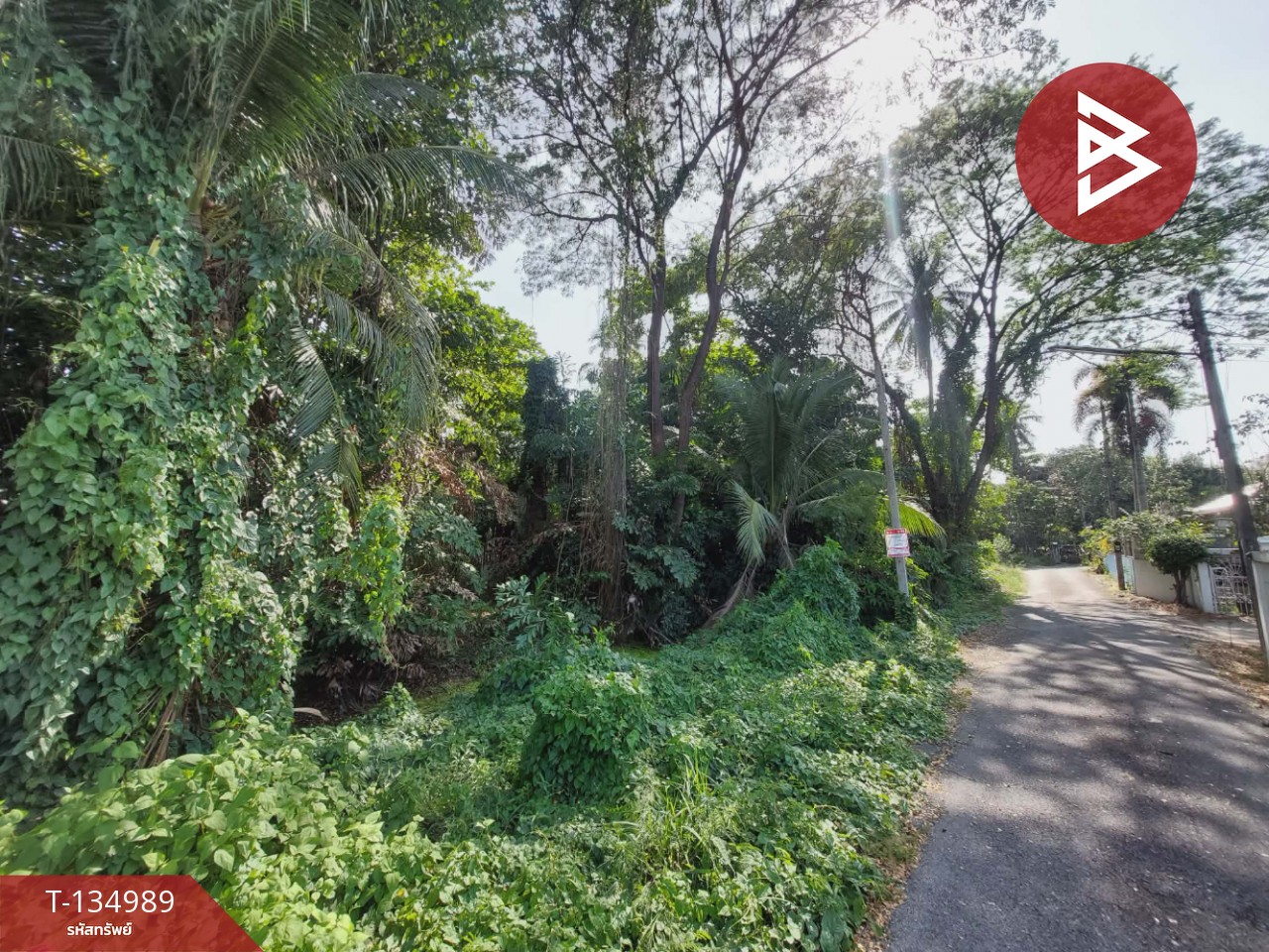 ขายที่ดิน เนื้อที่ 1 ไร่ 2 งาน 41 ตารางวา สามพราน ซอย 5 นครปฐม 4