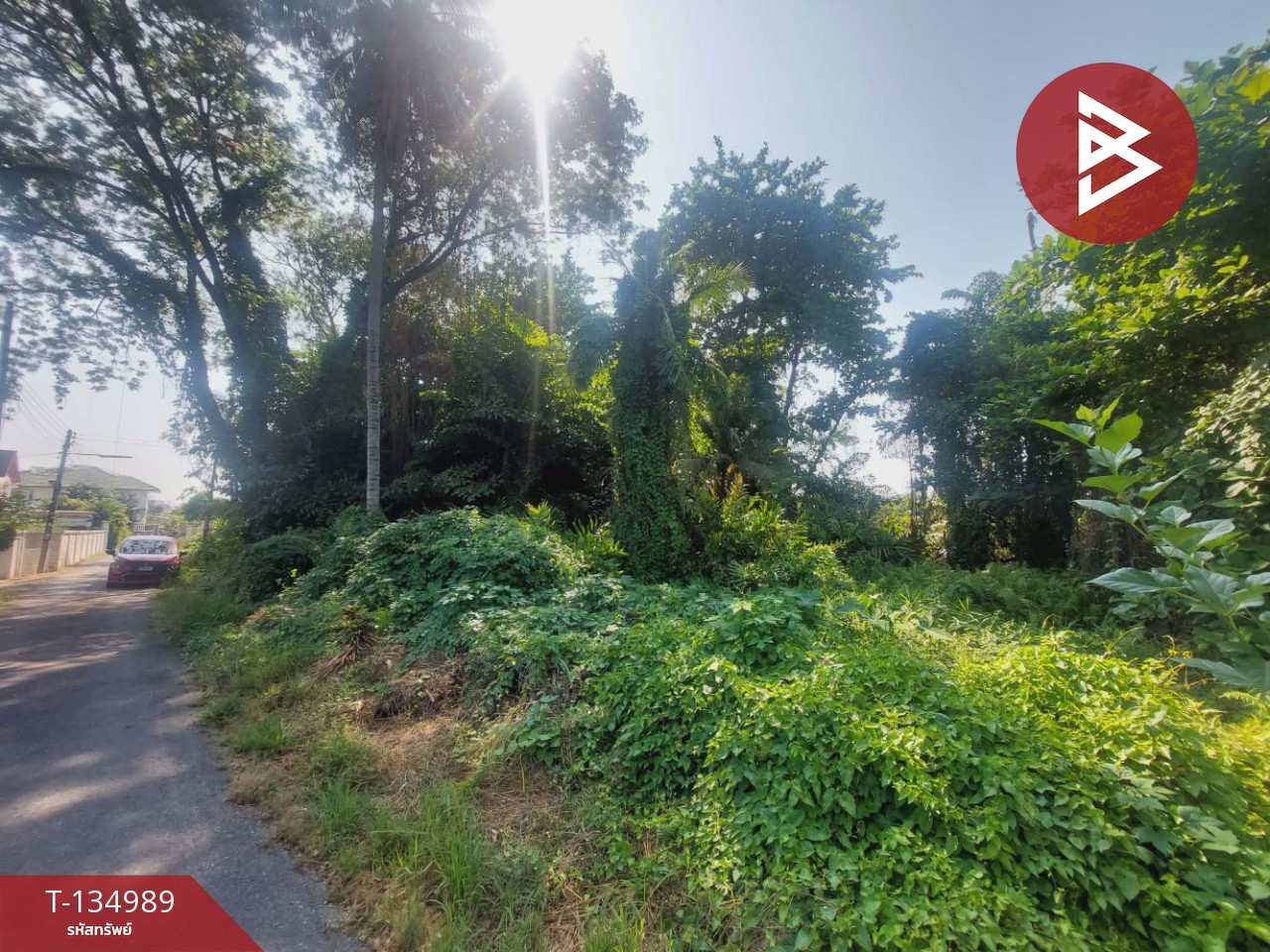 ขายที่ดิน เนื้อที่ 1 ไร่ 2 งาน 41 ตารางวา สามพราน ซอย 5 นครปฐม 15