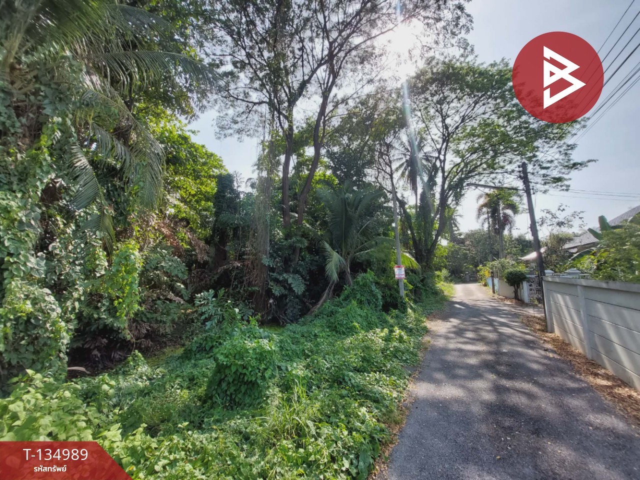 ขายที่ดิน เนื้อที่ 1 ไร่ 2 งาน 41 ตารางวา สามพราน ซอย 5 นครปฐม 2