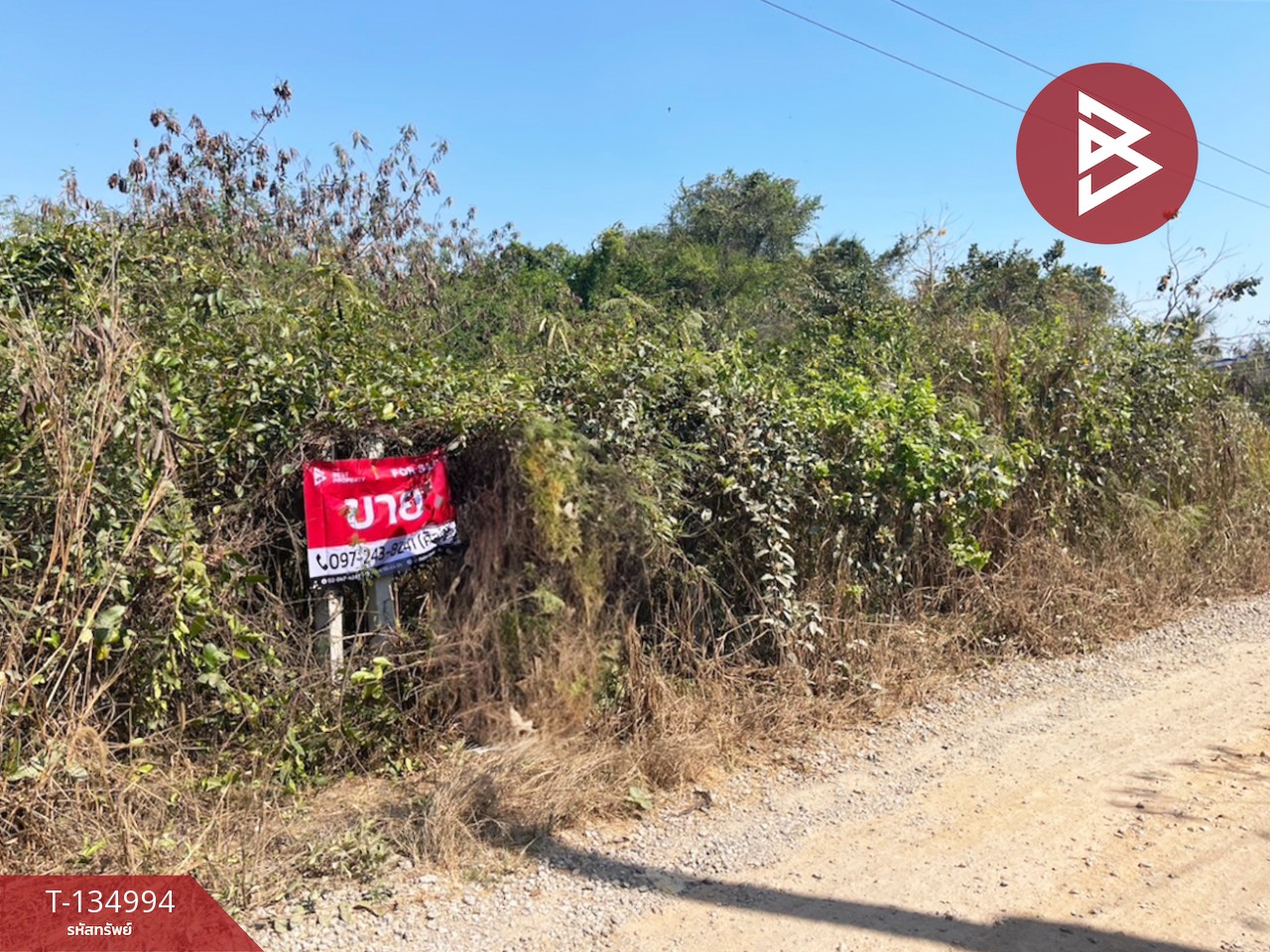 ขายที่ดิน เนื้อที่ 90.6 ตร.วา ตะพง ระยอง 2