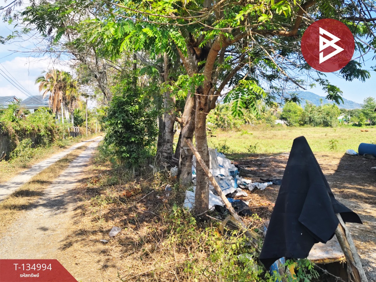 ขายที่ดิน เนื้อที่ 90.6 ตร.วา ตะพง ระยอง 5