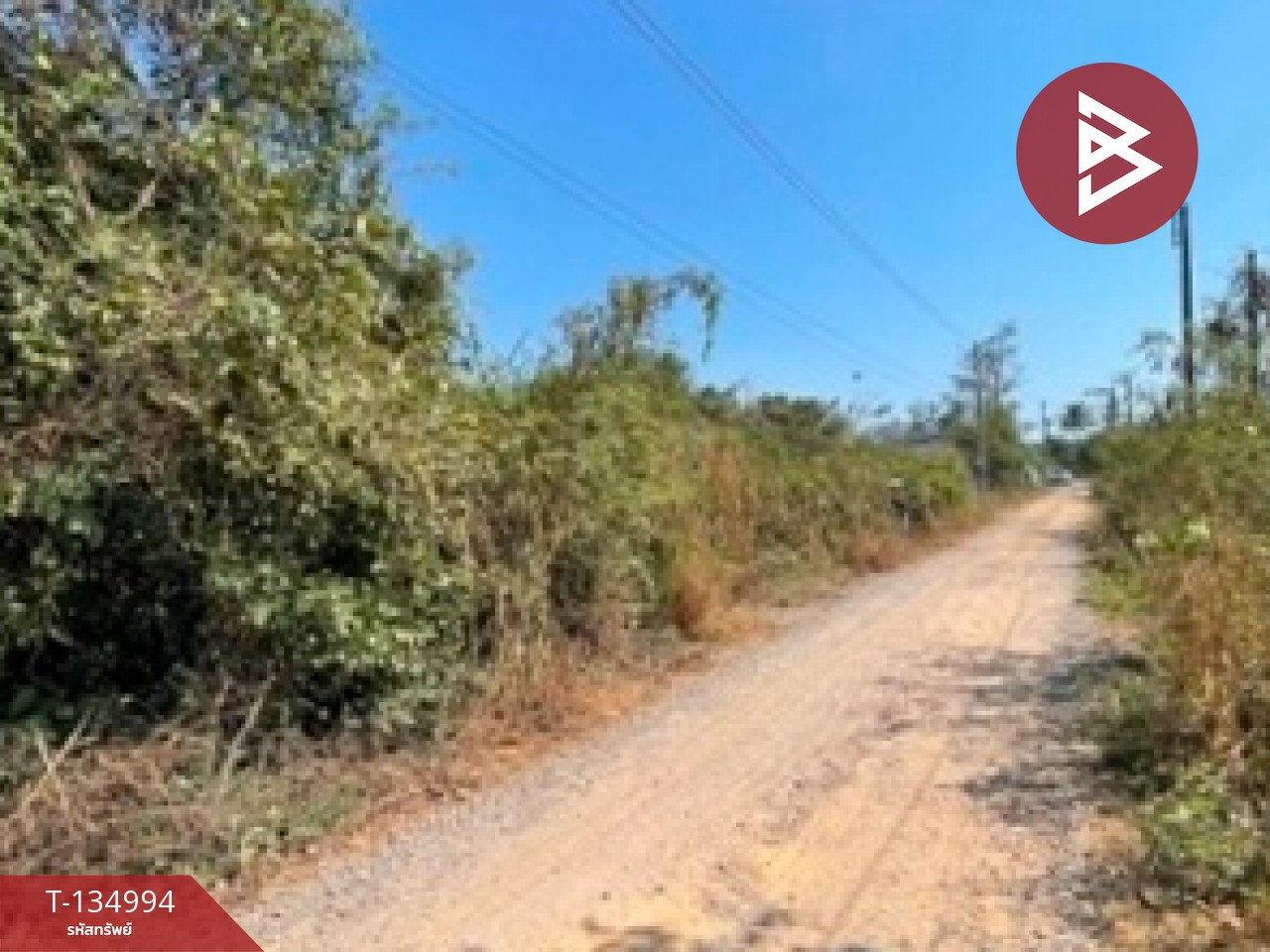 ขายที่ดิน เนื้อที่ 90.6 ตร.วา ตะพง ระยอง 4