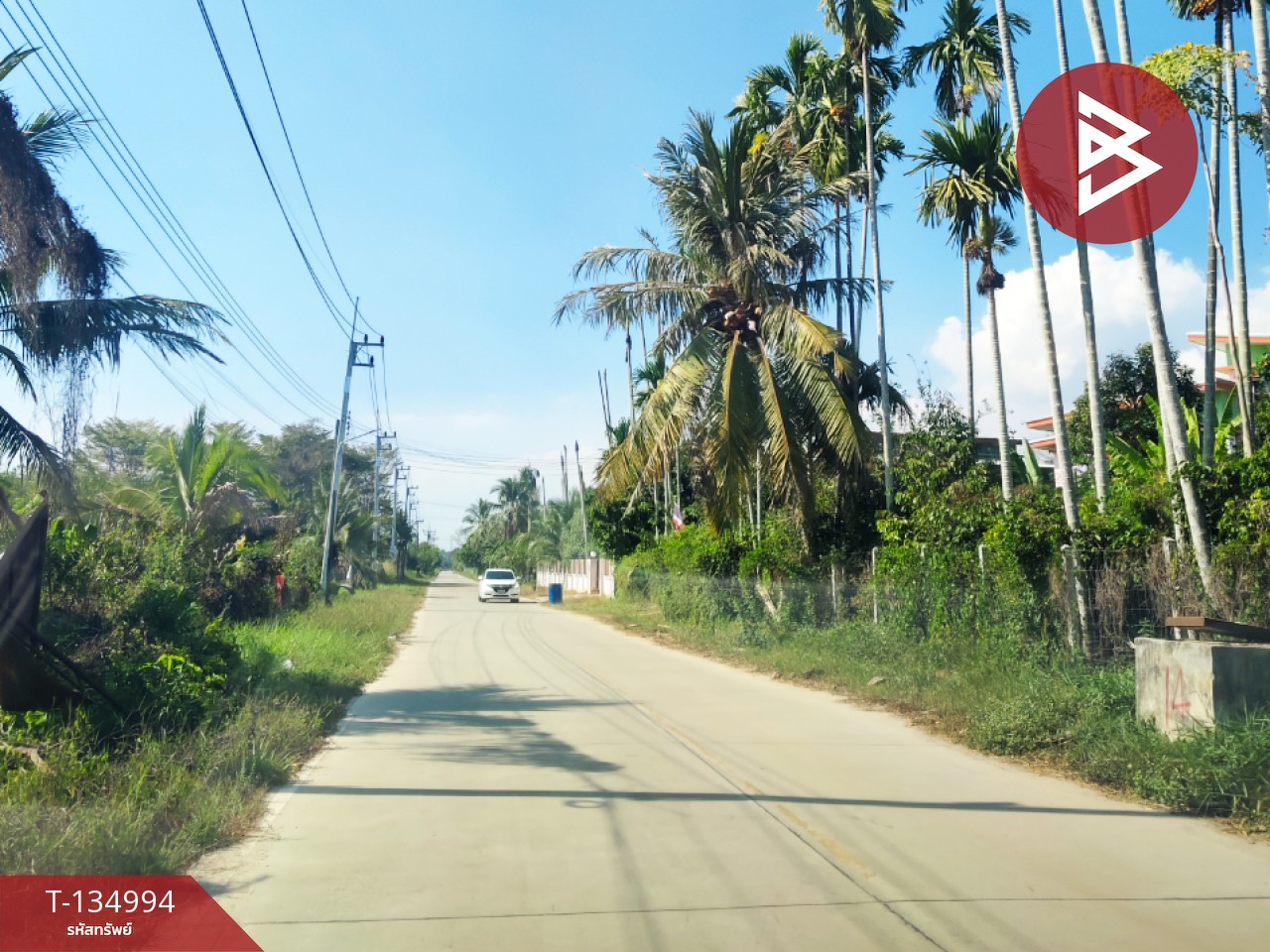 ขายที่ดิน เนื้อที่ 90.6 ตร.วา ตะพง ระยอง 6