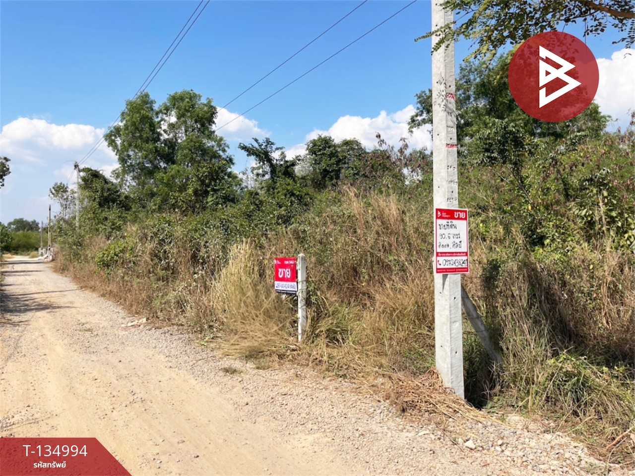 ขายที่ดิน เนื้อที่ 90.6 ตร.วา ตะพง ระยอง 1