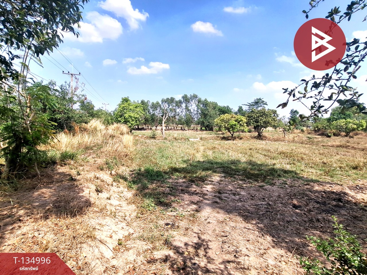 ขายที่ดิน เนื้อที่ 3 ไร่ 1 งาน 96 ตร.วา วาปีปทุม มหาสารคาม 3