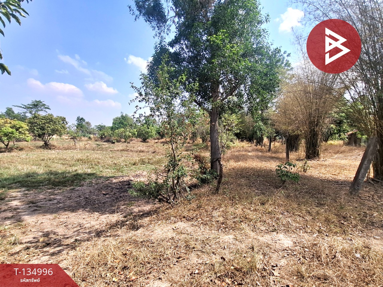 ขายที่ดิน เนื้อที่ 3 ไร่ 1 งาน 96 ตร.วา วาปีปทุม มหาสารคาม 2