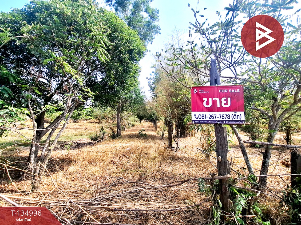 ขายที่ดิน เนื้อที่ 3 ไร่ 1 งาน 96 ตร.วา วาปีปทุม มหาสารคาม 6