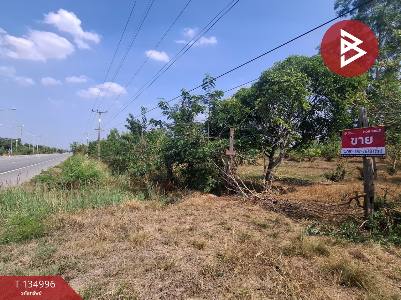 ขายที่ดิน เนื้อที่ 3 ไร่ 1 งาน 96 ตร.วา วาปีปทุม มหาสารคาม 4