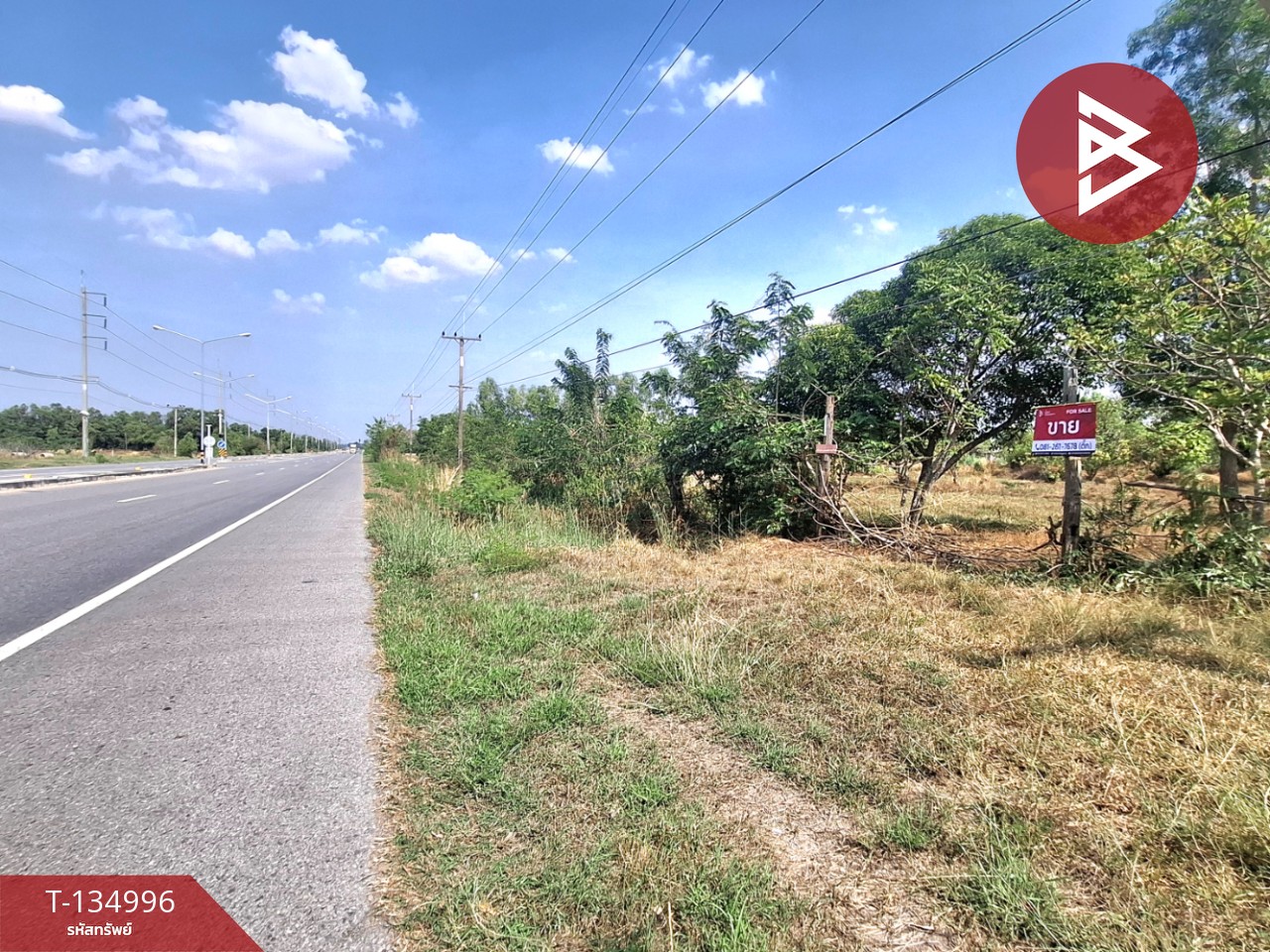 ขายที่ดิน เนื้อที่ 3 ไร่ 1 งาน 96 ตร.วา วาปีปทุม มหาสารคาม 5