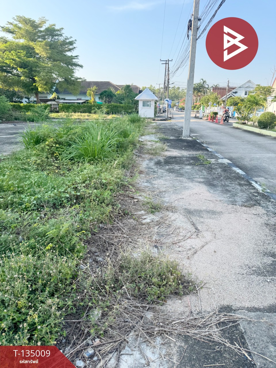 ขายที่ดิน เนื้อที่ 1 งาน 60 ตร.วา บ้านฉาง ระยอง 3