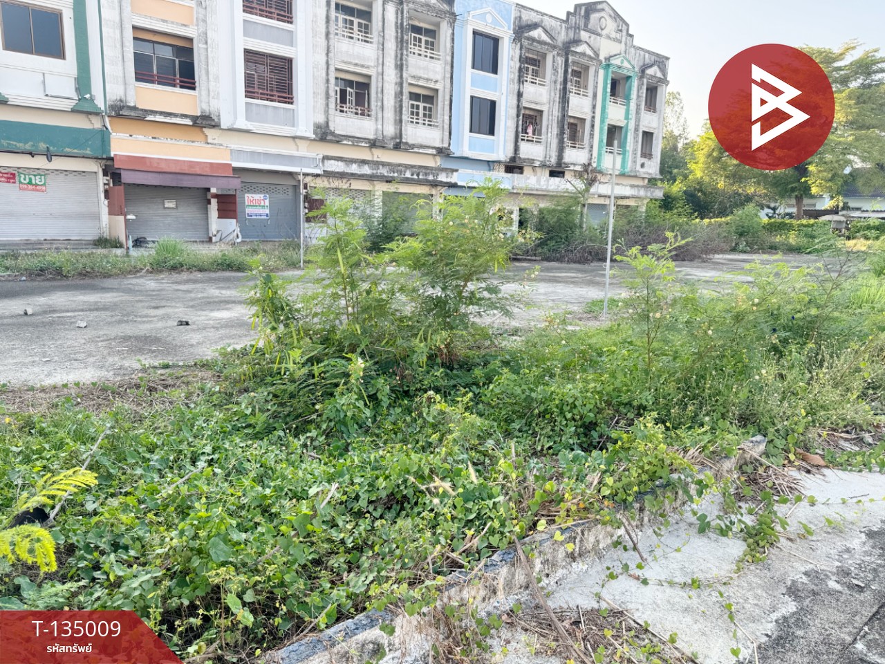 ขายที่ดิน เนื้อที่ 1 งาน 60 ตร.วา บ้านฉาง ระยอง 2