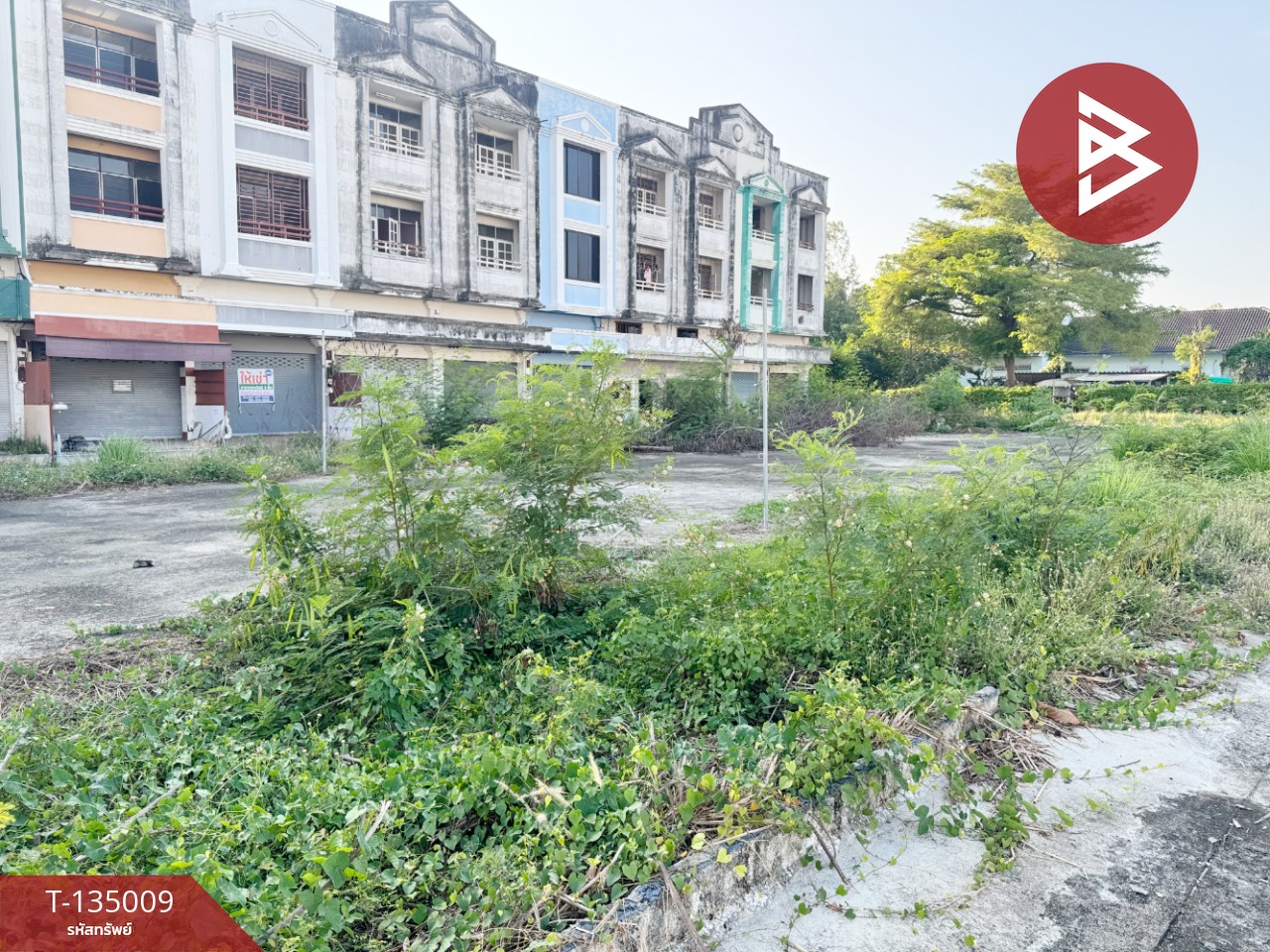 ขายที่ดิน เนื้อที่ 1 งาน 60 ตร.วา บ้านฉาง ระยอง 1