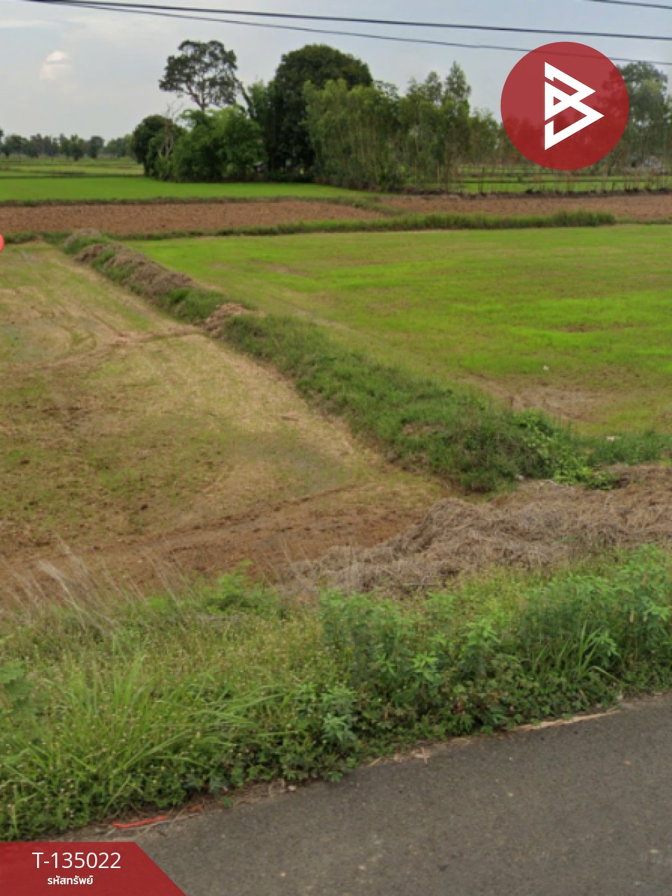 ขายด่วน ที่ดินเปล่า 4 ไร่  ประโคนชัย บุรีรัมย์ 6