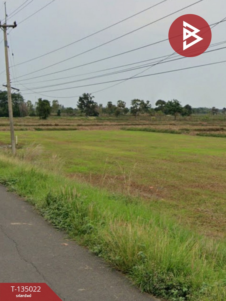 ขายด่วน ที่ดินเปล่า 4 ไร่  ประโคนชัย บุรีรัมย์ 2