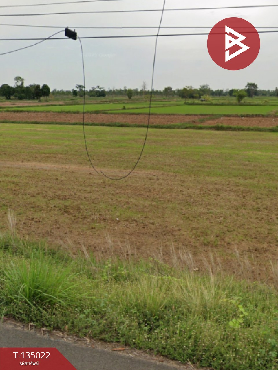 ขายด่วน ที่ดินเปล่า 4 ไร่  ประโคนชัย บุรีรัมย์ 3