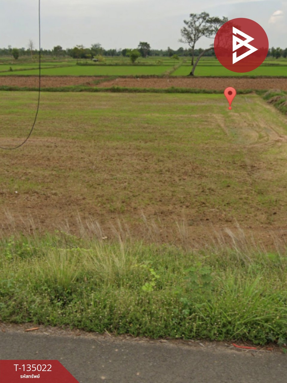 ขายด่วน ที่ดินเปล่า 4 ไร่  ประโคนชัย บุรีรัมย์ 4