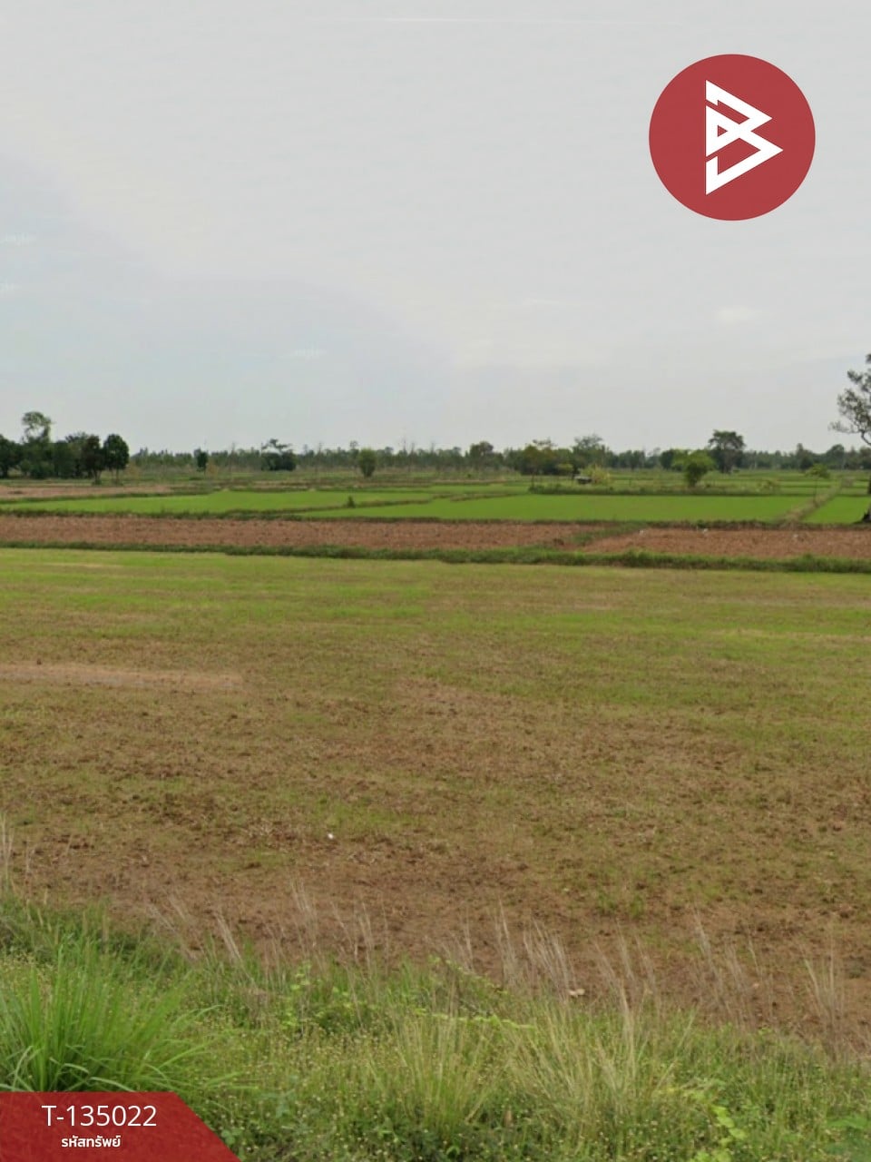 ขายด่วน ที่ดินเปล่า 4 ไร่  ประโคนชัย บุรีรัมย์ 7