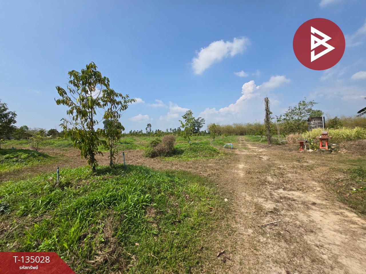 ขายที่ดินพร้อมสวนผลไม้ เนื้อที่ 18 ไร่ 1 งาน 1.8 ตารางวา แสลง จันทบุรี 11