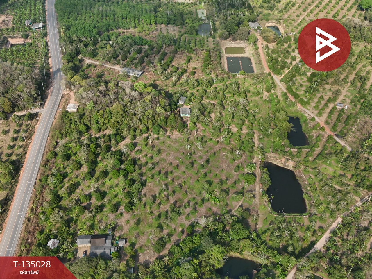 ขายที่ดินพร้อมสวนผลไม้ เนื้อที่ 18 ไร่ 1 งาน 1.8 ตารางวา แสลง จันทบุรี 5