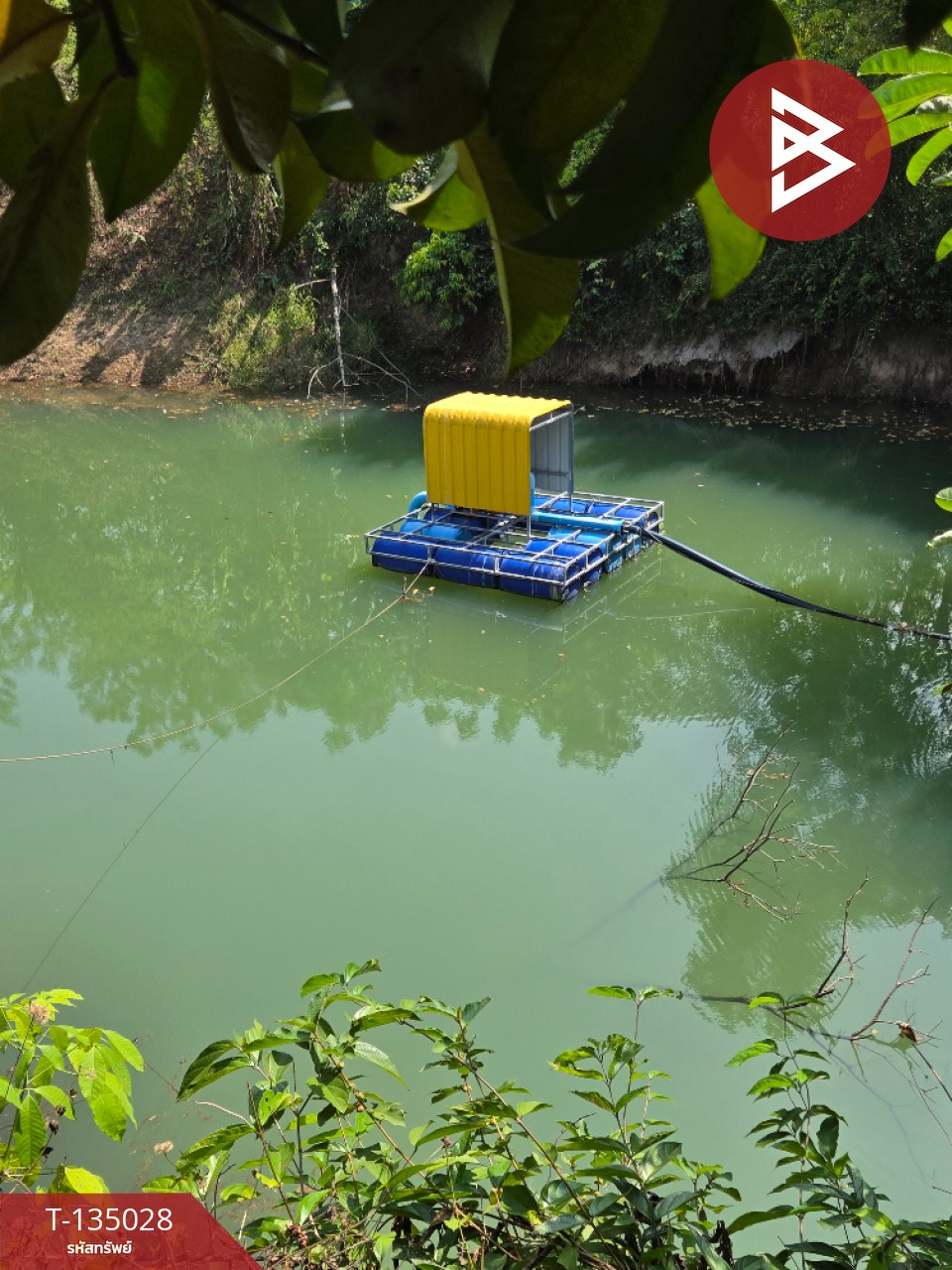 ขายที่ดินพร้อมสวนผลไม้ เนื้อที่ 18 ไร่ 1 งาน 1.8 ตารางวา แสลง จันทบุรี 7