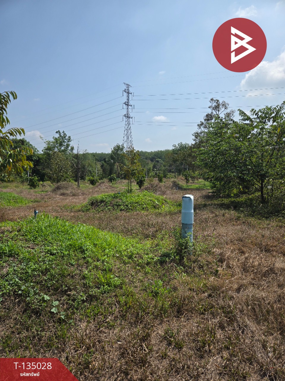 ขายที่ดินพร้อมสวนผลไม้ เนื้อที่ 18 ไร่ 1 งาน 1.8 ตารางวา แสลง จันทบุรี 15