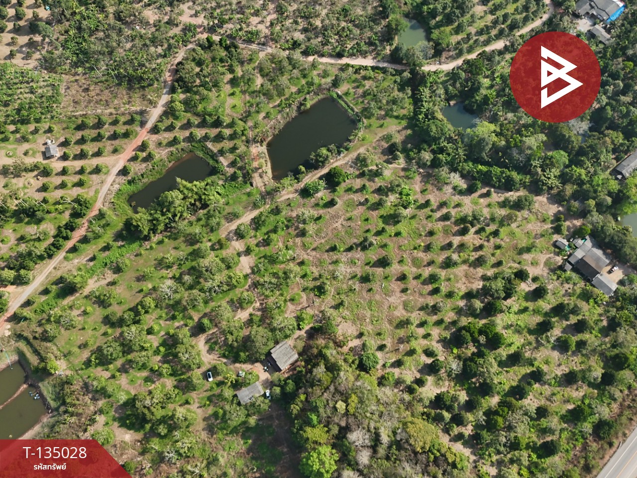 ขายที่ดินพร้อมสวนผลไม้ เนื้อที่ 18 ไร่ 1 งาน 1.8 ตารางวา แสลง จันทบุรี 4