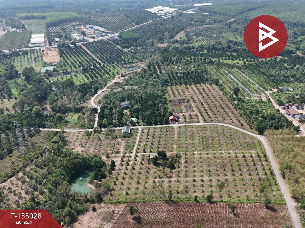 ขายที่ดินพร้อมสวนผลไม้ เนื้อที่ 18 ไร่ 1 งาน 1.8 ตารางวา แสลง จันทบุรี 1