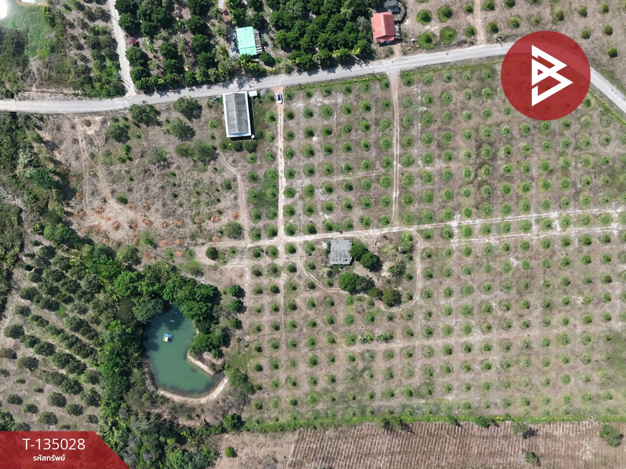 ขายที่ดินพร้อมสวนผลไม้ เนื้อที่ 18 ไร่ 1 งาน 1.8 ตารางวา แสลง จันทบุรี 2