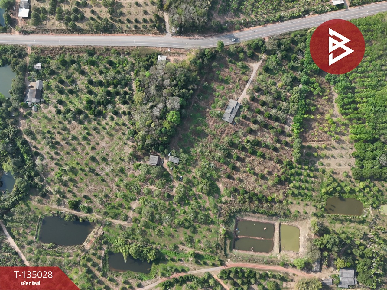 ขายที่ดินพร้อมสวนผลไม้ เนื้อที่ 18 ไร่ 1 งาน 1.8 ตารางวา แสลง จันทบุรี 6