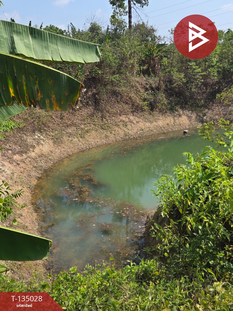 ขายที่ดินพร้อมสวนผลไม้ เนื้อที่ 18 ไร่ 1 งาน 1.8 ตารางวา แสลง จันทบุรี 13