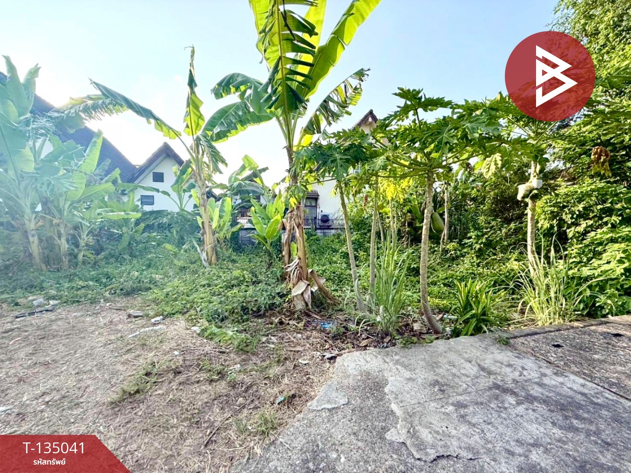 ขายที่ดิน เนื้อที่ 40.2 ตร.วา วัดใหม่ จันทบุรี 4