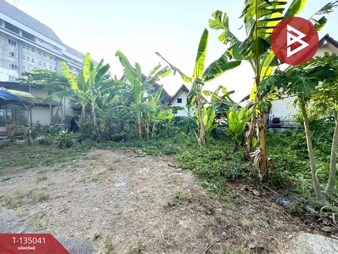 ขายที่ดิน เนื้อที่ 40.2 ตร.วา วัดใหม่ จันทบุรี 3