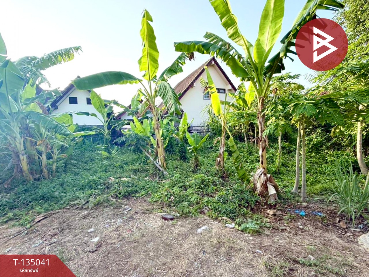 ขายที่ดิน เนื้อที่ 40.2 ตร.วา วัดใหม่ จันทบุรี 1