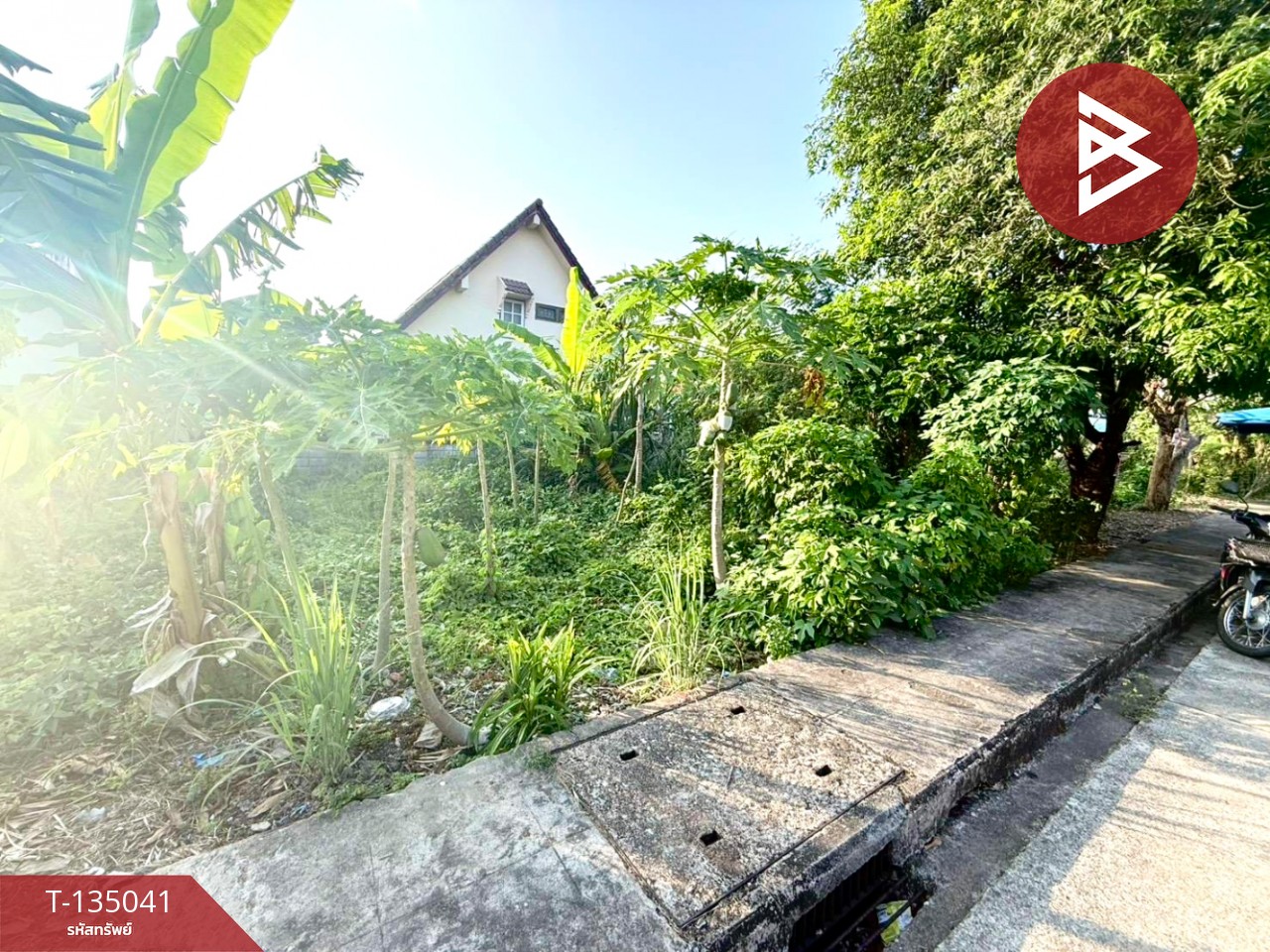 ขายที่ดิน เนื้อที่ 40.2 ตร.วา วัดใหม่ จันทบุรี 6