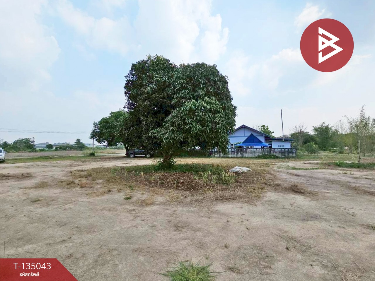 ขายที่ดิน เนื้อที่ 2 ไร่ บ้านบึง ชลบุรี 4