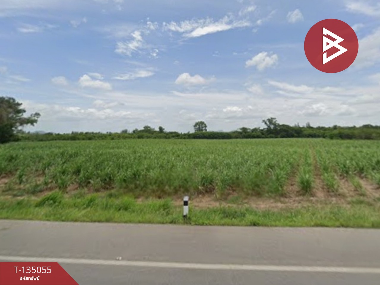 ขายที่ดิน เนื้อที่ 28 ไร่ 2 งาน 69.4 ตร.วา ท่ายาง เพชรบุรี 4