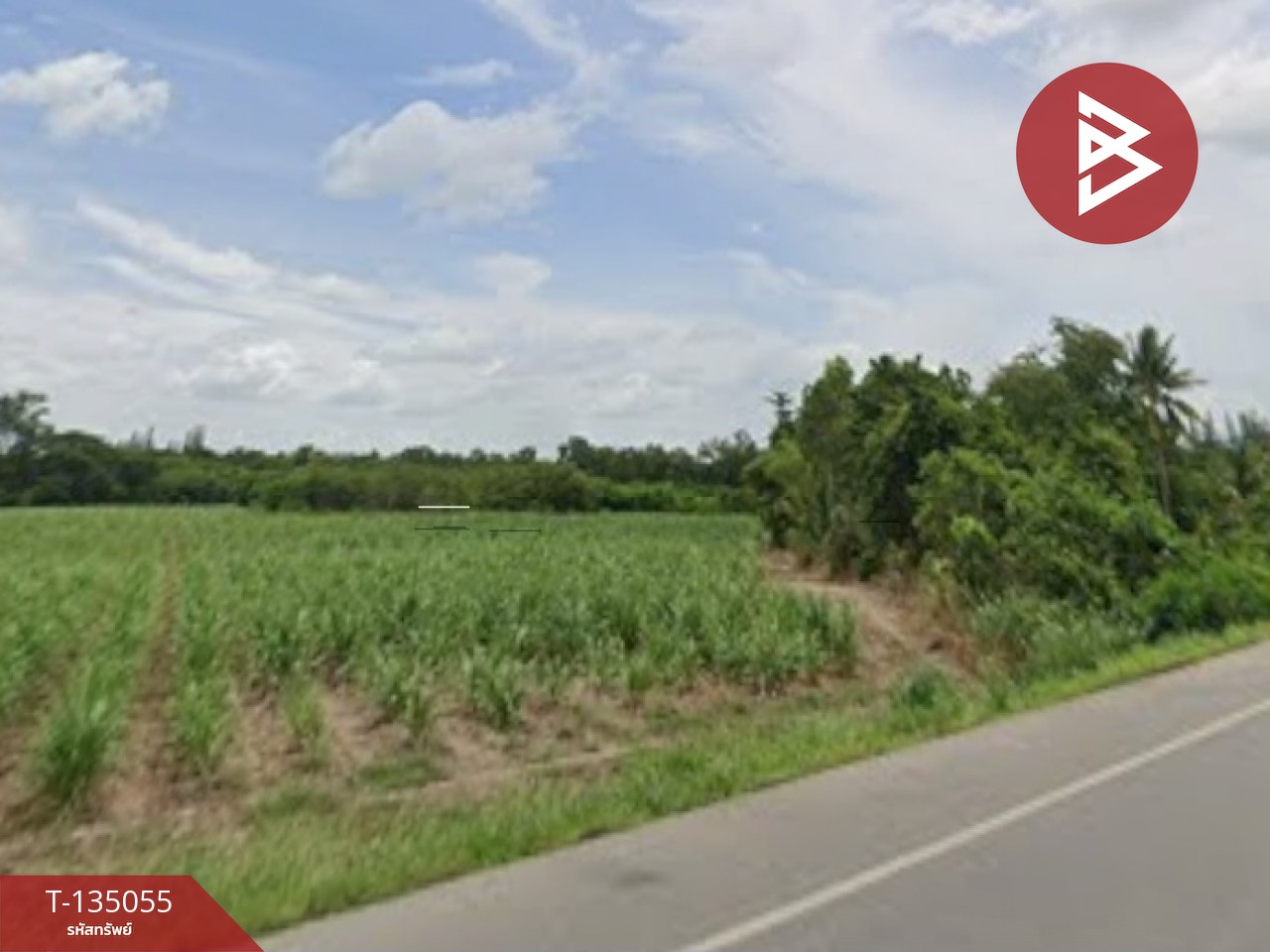 ขายที่ดิน เนื้อที่ 28 ไร่ 2 งาน 69.4 ตร.วา ท่ายาง เพชรบุรี 2